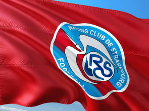 半岛体育app官网-帕尔梅拉斯球员伤愈归队，阵容进一步完整