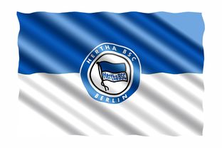 半岛体育在线网站-柏林赫塔主场失利，球队排名下滑，柏林赫塔转会